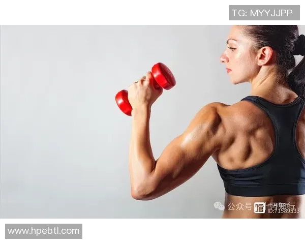 坚持力量与耐力训练打造健康强壮体魄实现身心全面平衡发展